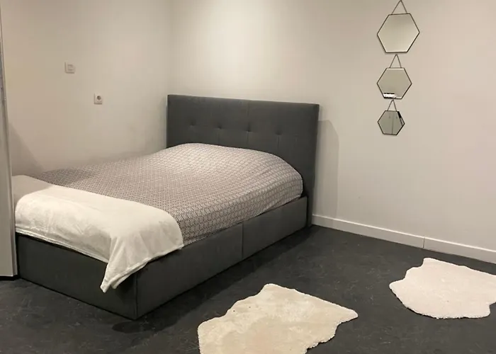 Appartement Montpellier Avec Beau Jardin